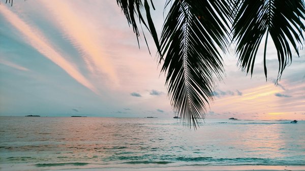 Location d'une voiture : des choix variés pour tous les budgets !