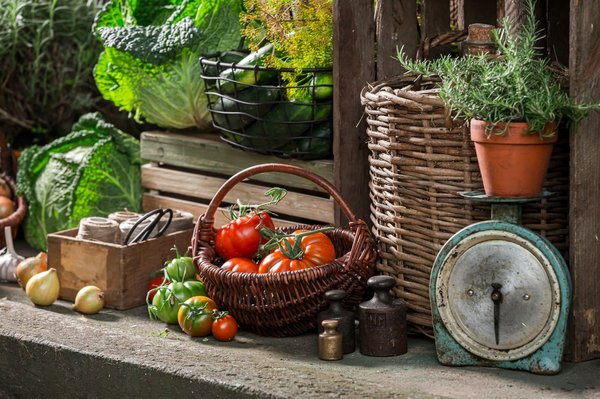 Comment participer à un festival de danses traditionnelles en Argentine : dates et villes recommandées ?